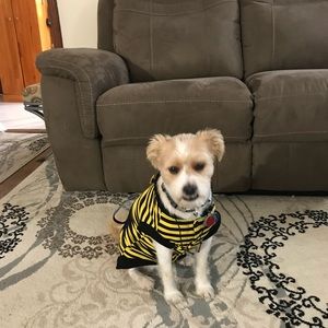 Meet your Posher, Theresa